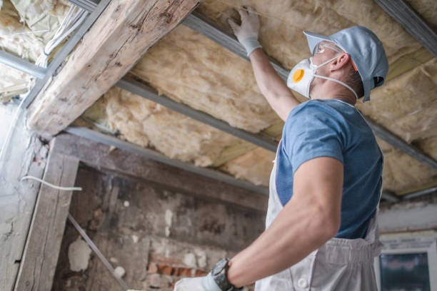 Best Insulation Maintenance and Repair in Westville, NJ