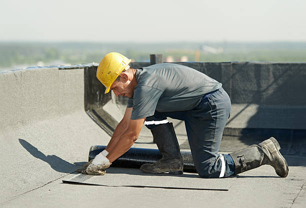 Best Insulation Maintenance and Repair in Westville, NJ